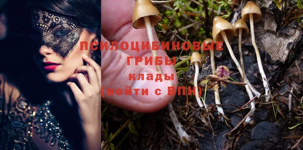 МДМА Арсеньев