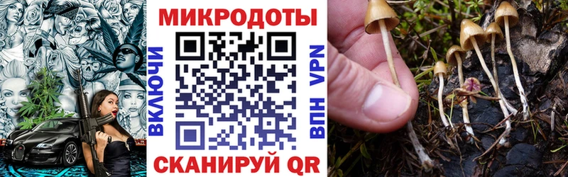 darknet официальный сайт  Сибай  Галлюциногенные грибы Psilocybe 